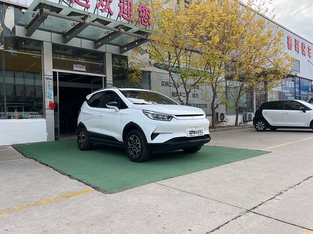 BYD Yuan Pro 2021 401KM