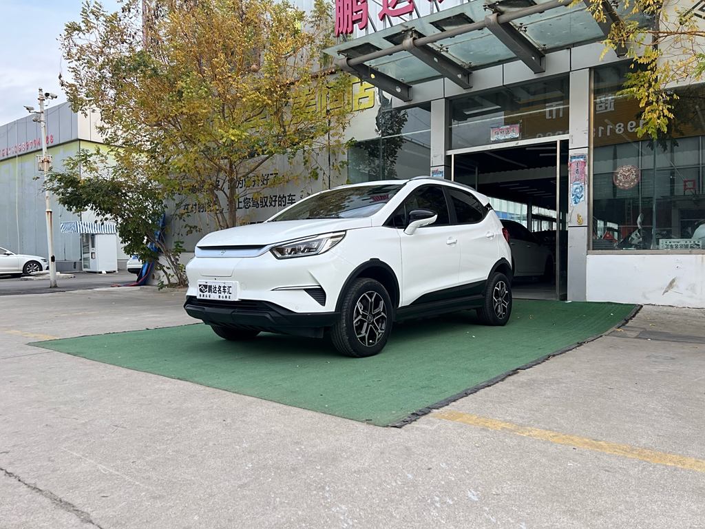 BYD Yuan Pro 2021 401KM