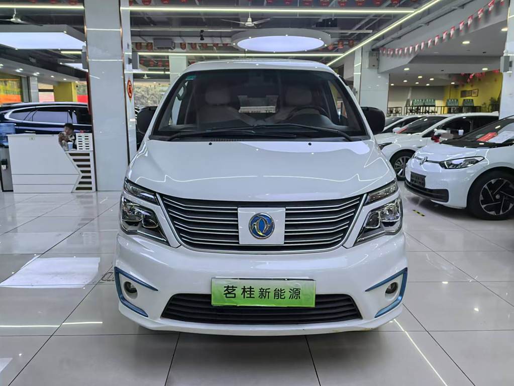 Dongfeng Lingzhi M5EV 2020  7