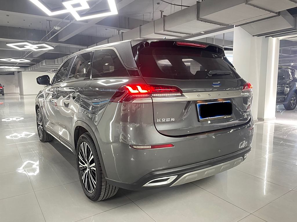 Changan Oshan X7 2020 1.5T Автоматическая Luxury