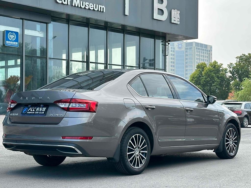 Skoda Octavia 2019 1.5L АвтоматическаяZhixing  Euro VI