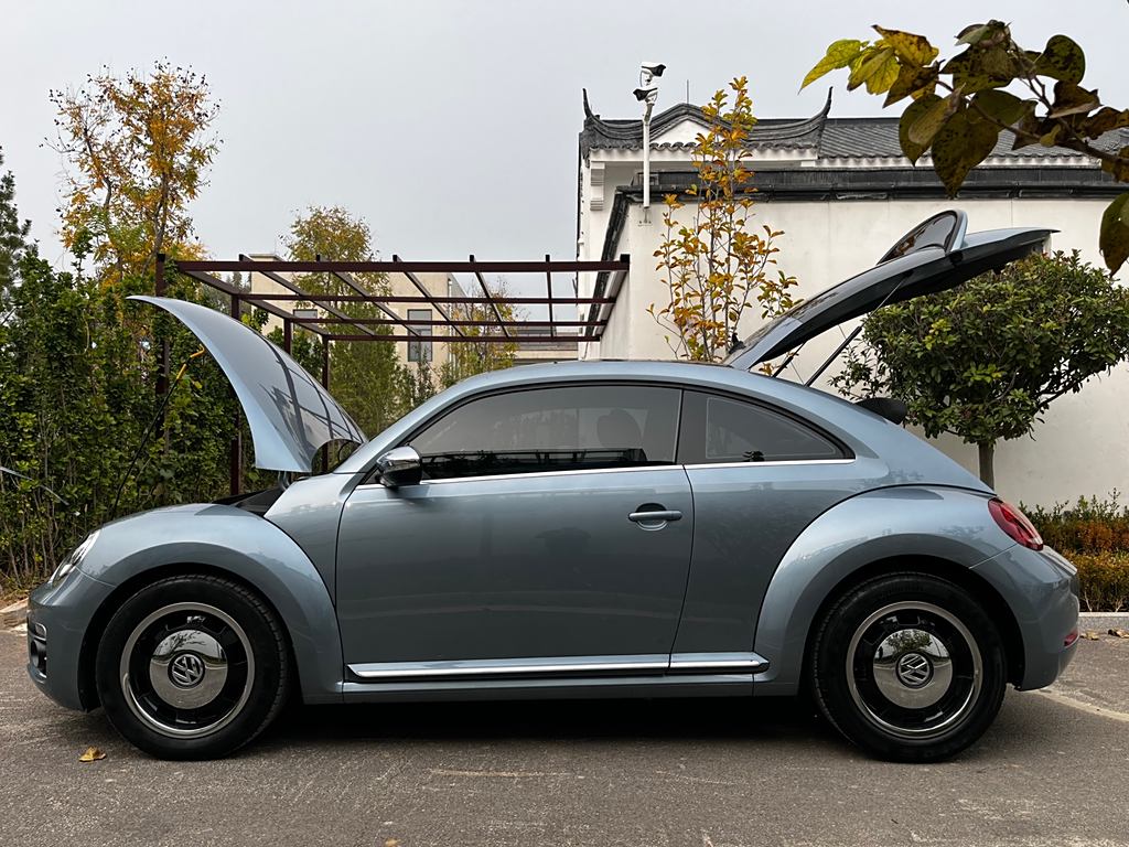 Volkswagen Beetle 2019 180TSI