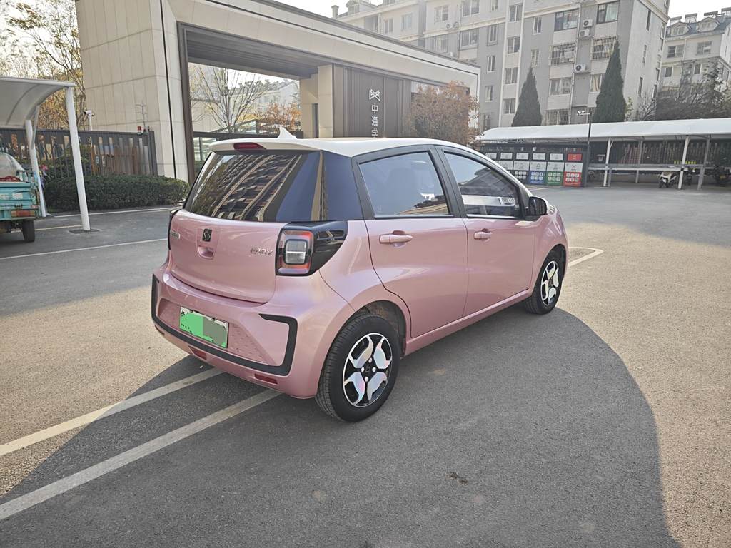 Flower Fairy (Nissan) 2021  302km  Luxury