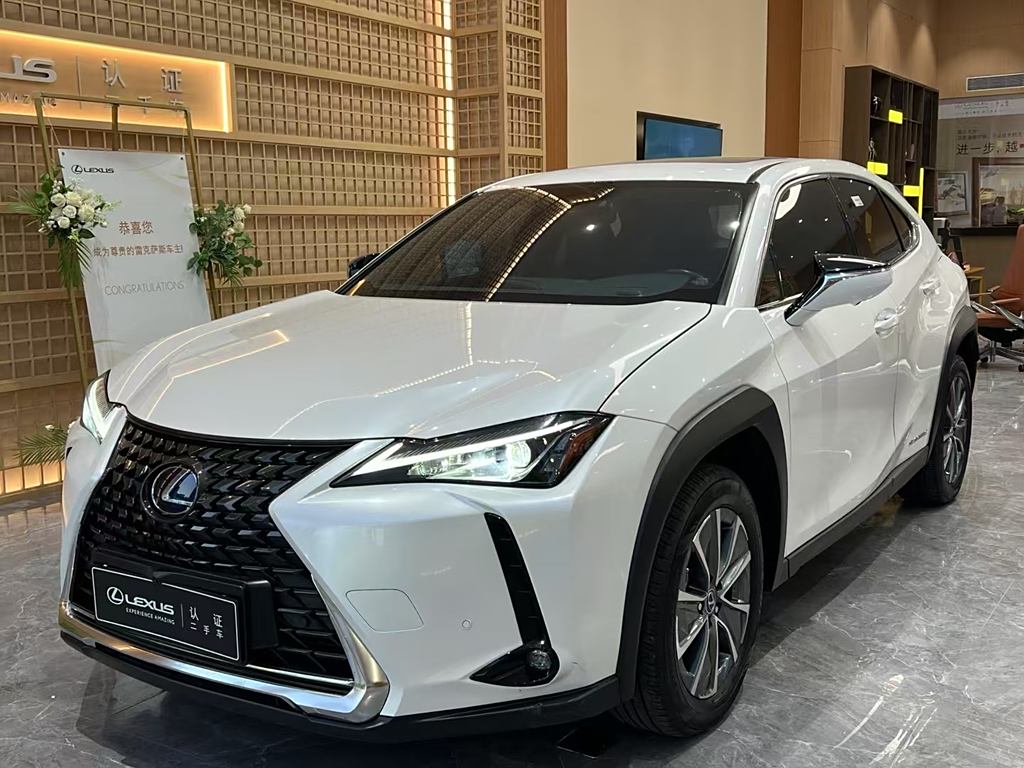 Lexus UX 2020 300e ·