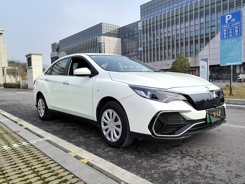 Venucia D60EV 2020 Zhixing