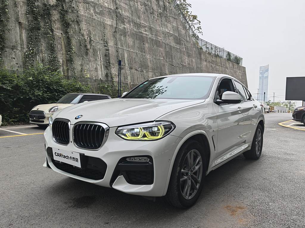 BMW X4 2019 xDrive25i M Sport Package