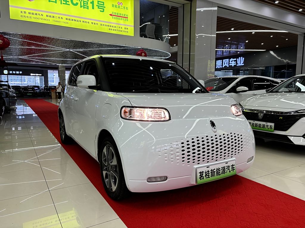 Ora White Cat 2020 305km  Luxury