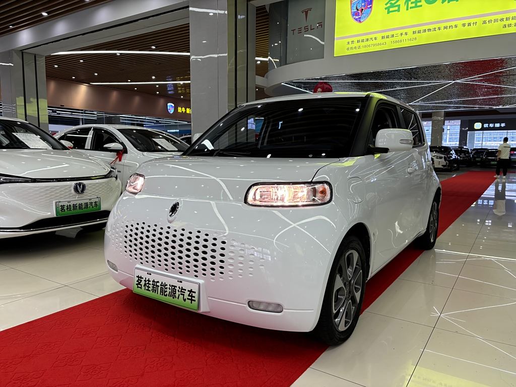 Ora White Cat 2020 305km  Luxury