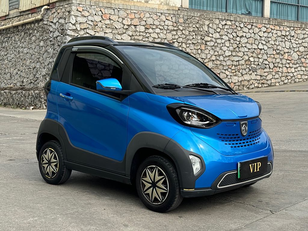 Baojun E100 2020 305KM Zhixing