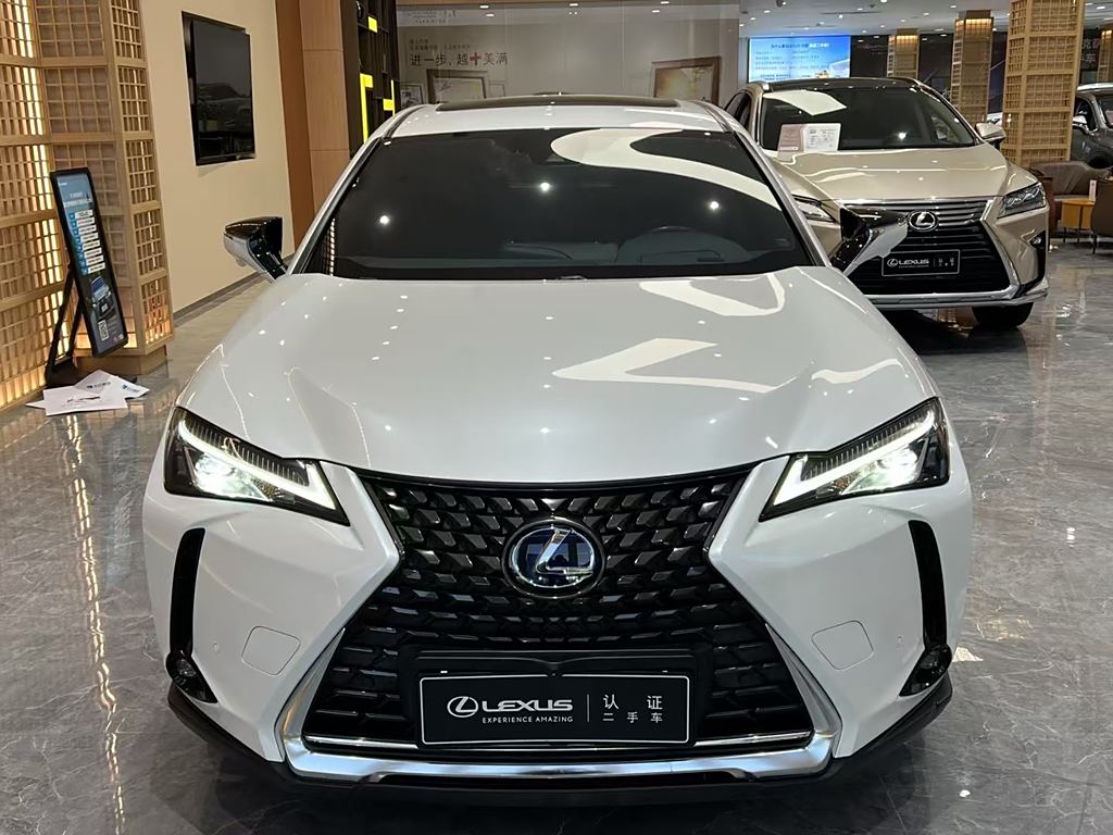 Lexus UX 2020 300e ·