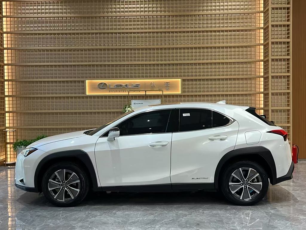 Lexus UX 2020 300e ·