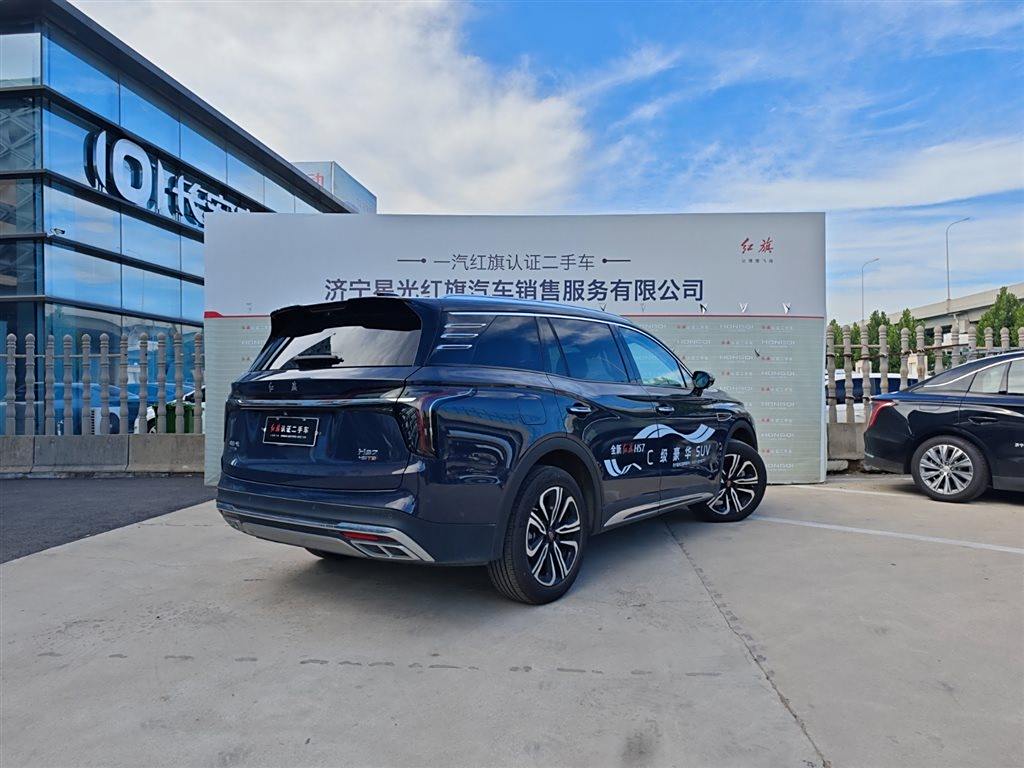 Hongqi HS7 2023 2.0T Автоматическая Полный привод