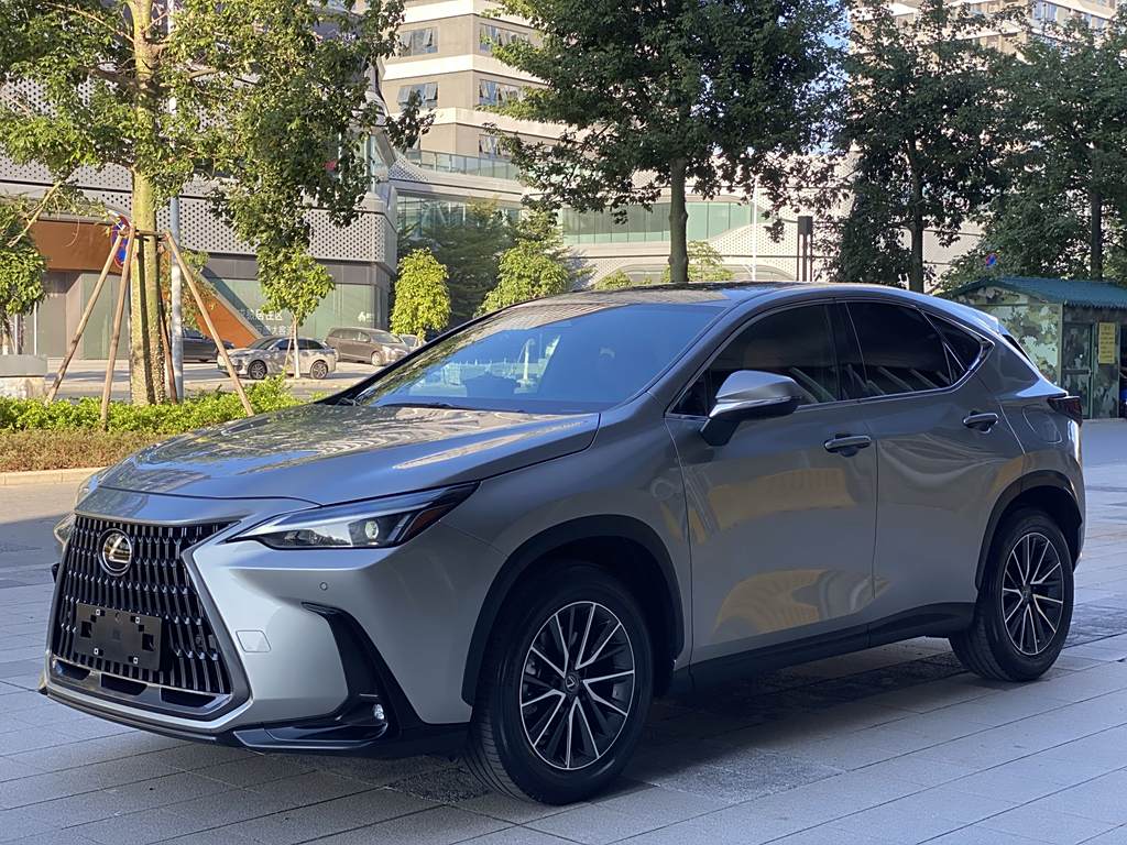 Lexus NX 2023 260