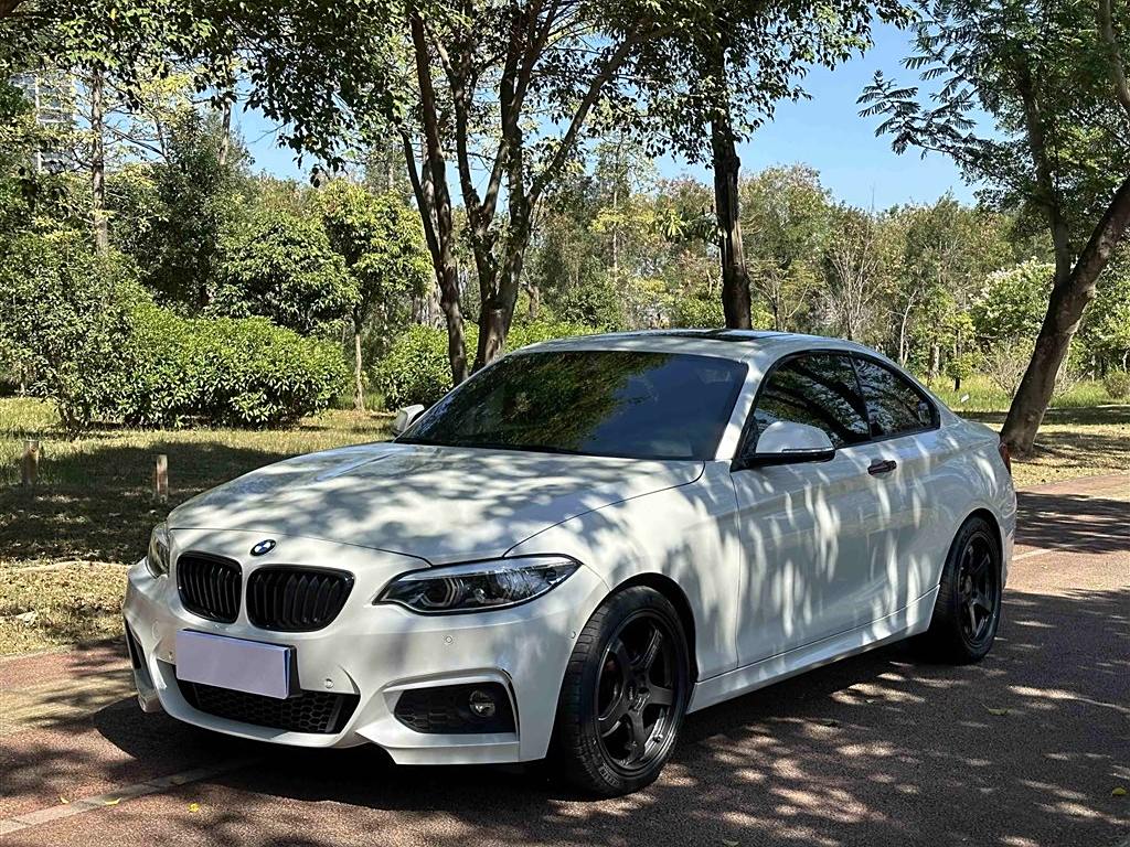 BMW 2 Series 2019 225i M Sport Package