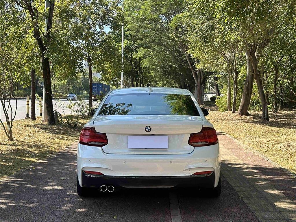 BMW 2 Series 2019 225i M Sport Package