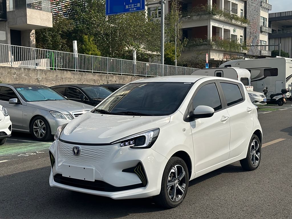 Changan Benben E-Star 2022   Литиевая батарея