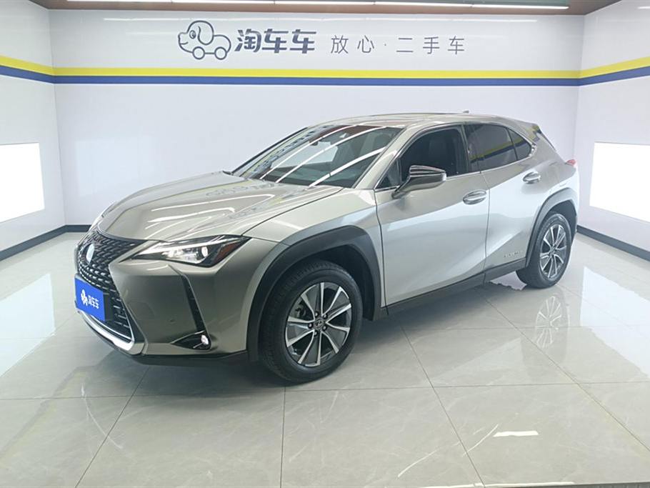 Lexus UX 2020 300e ·