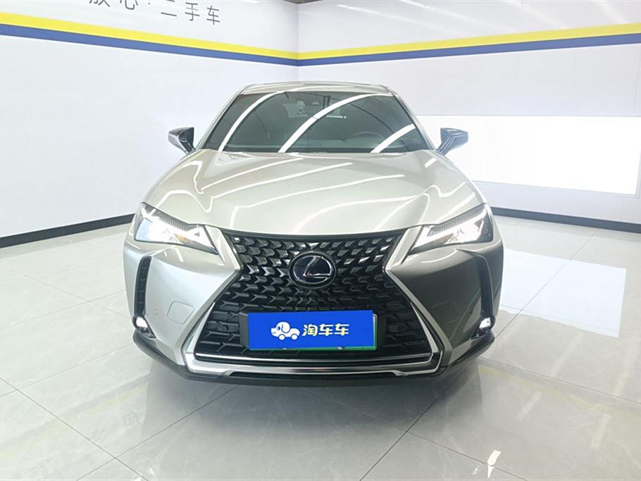 Lexus UX 2020 300e ·