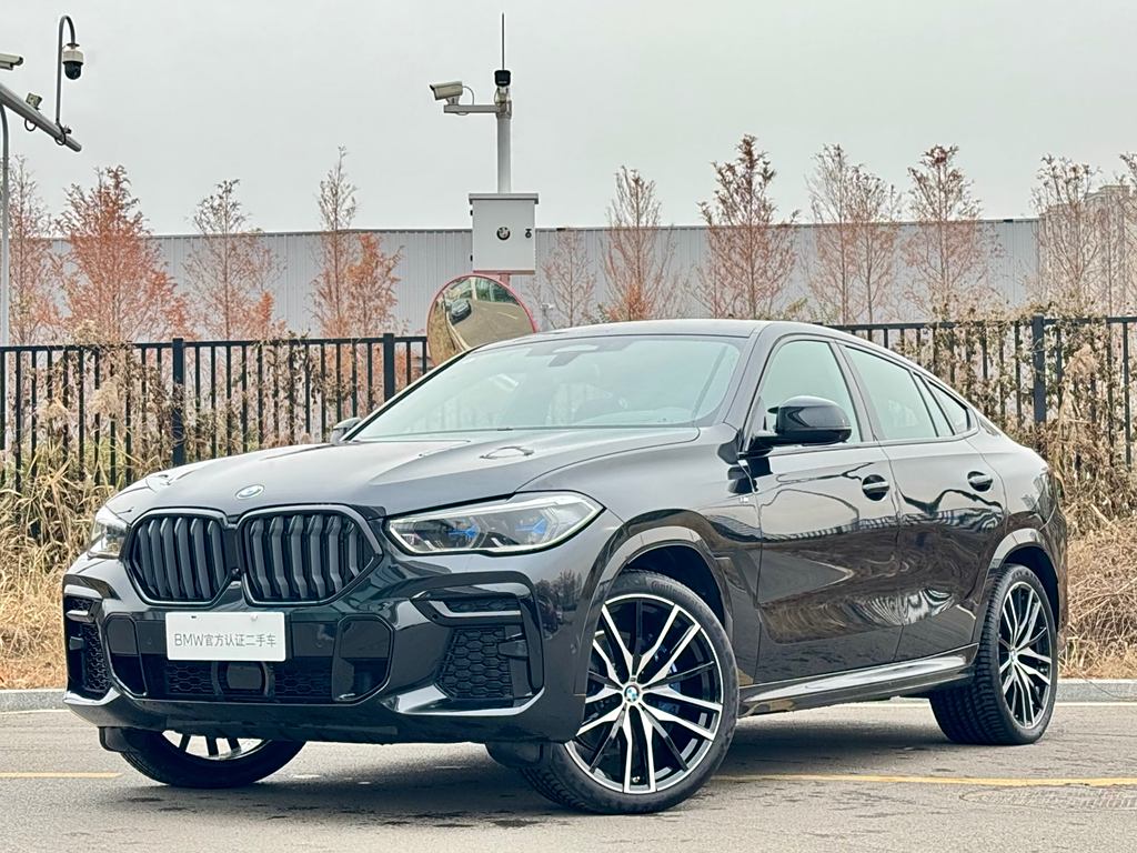 BMW X6 2022 xDrive40i M Sport Package