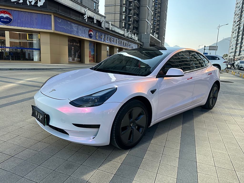 Tesla Model 3 2022