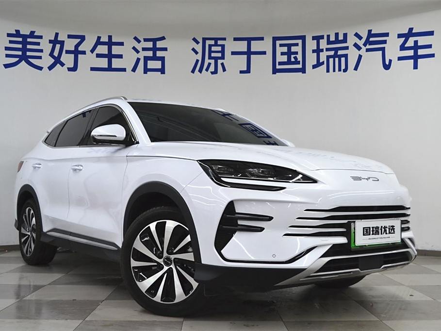 BYD Song PLUS New Energy 2024 DM-i 110km