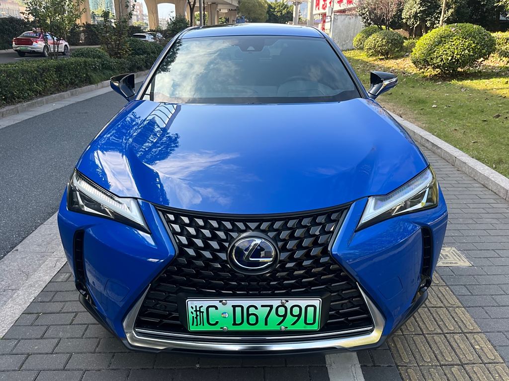 Lexus UX 2020 300e ·