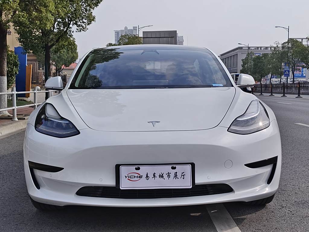 Tesla Model 3 2020