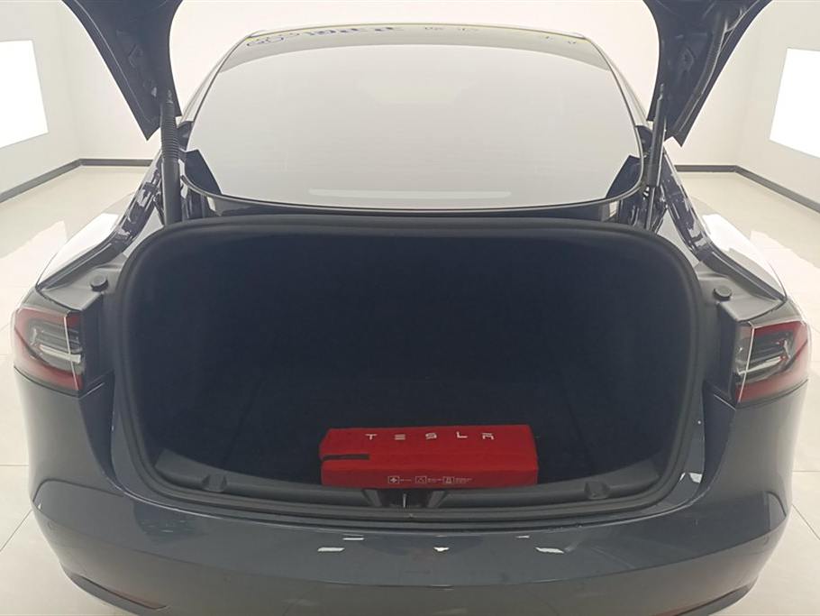 Tesla Model 3 2021   3D1