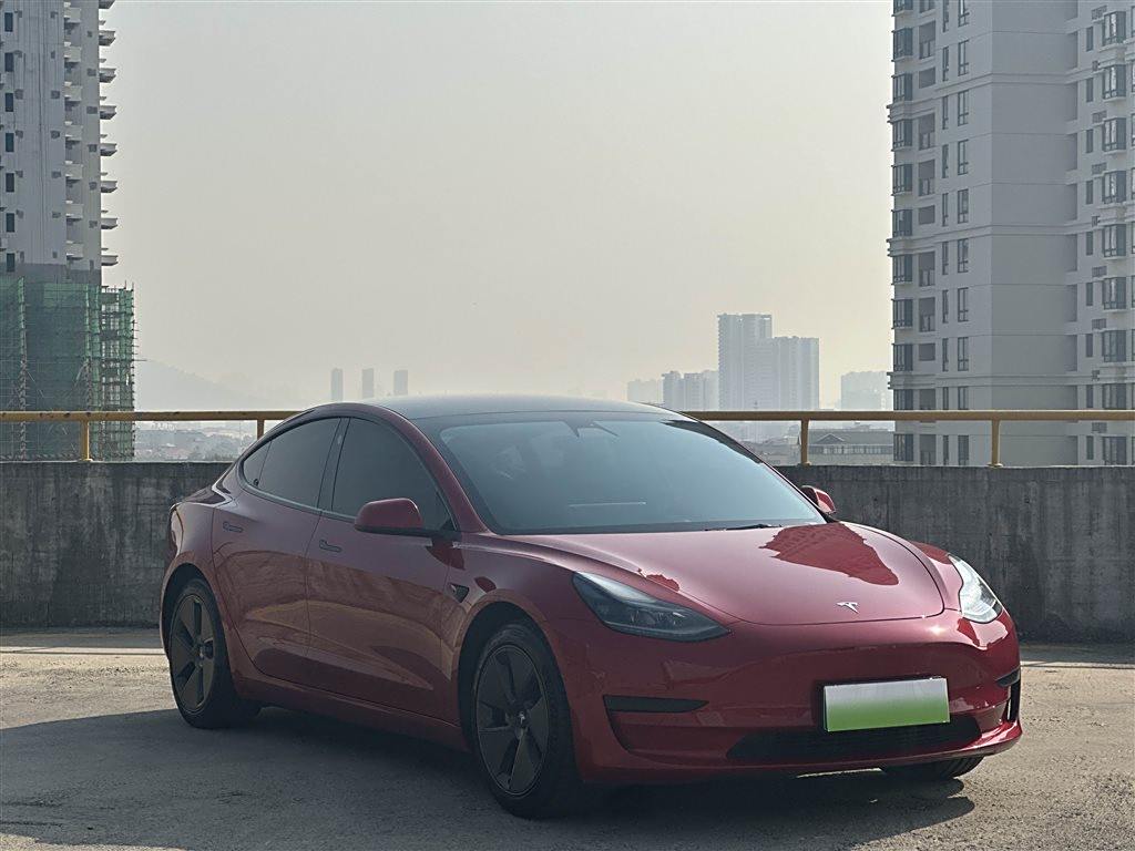 Tesla Model 3 2021