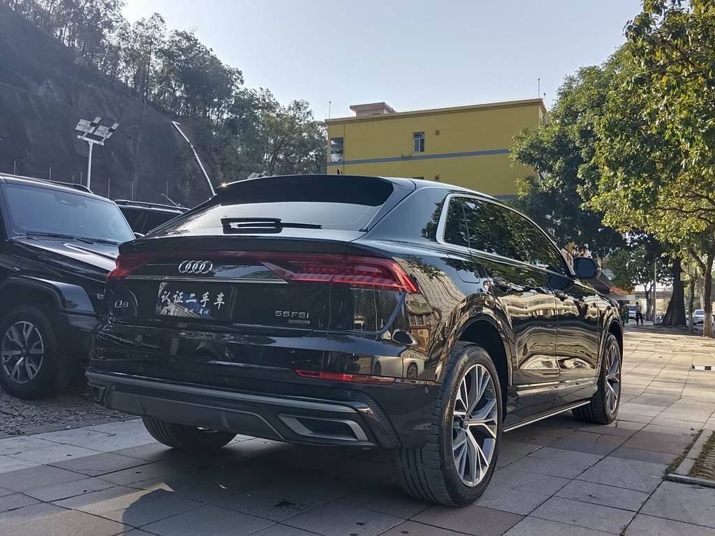 Audi Q8 2021 55 TFSI