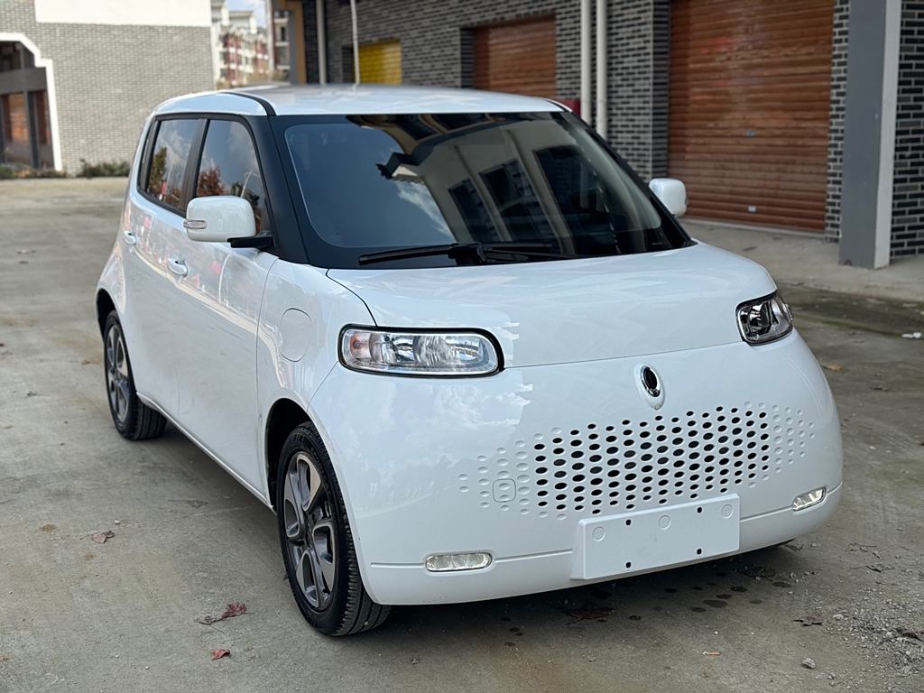 Ora White Cat 2020 305km  Luxury