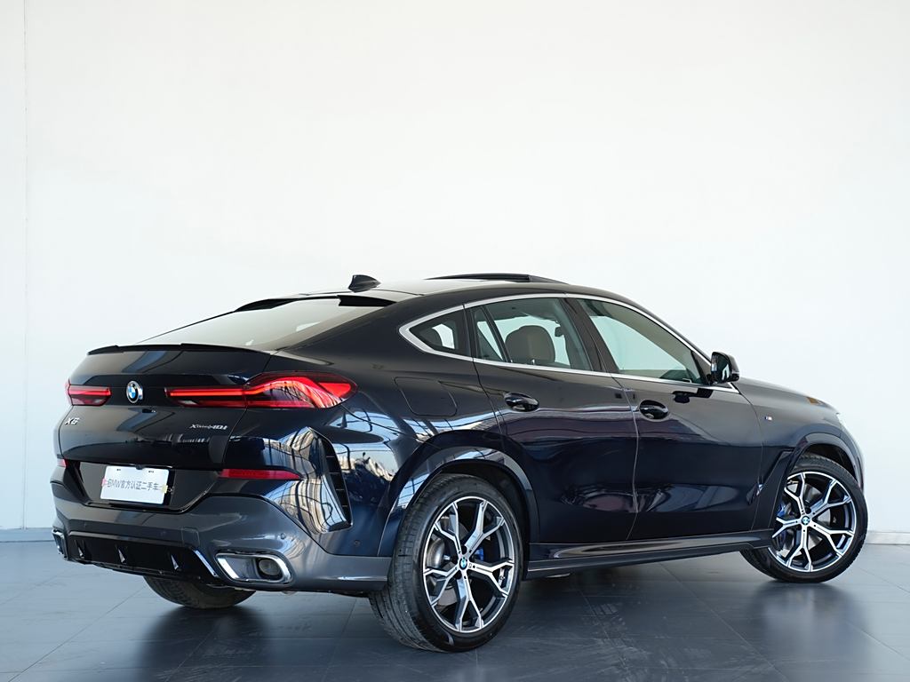 BMW X6 2020 xDrive40i  M Sport Package