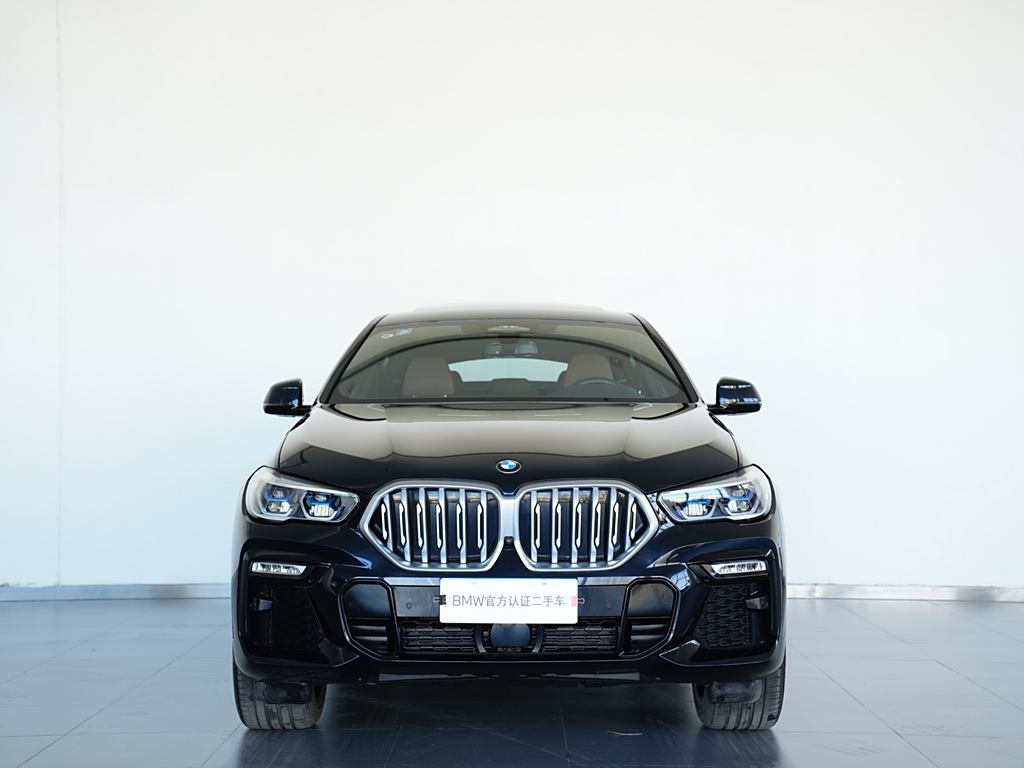 BMW X6 2020 xDrive40i  M Sport Package