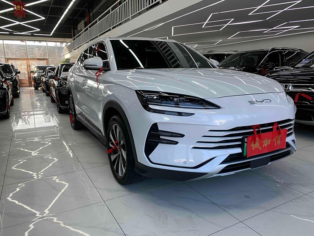 BYD Song PLUS New Energy 2023 DM-i 110KM PLUS