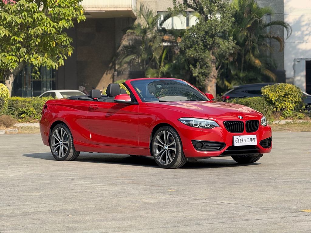 BMW2 Series 2019 225i Спортивный автомобиль (Sports car)