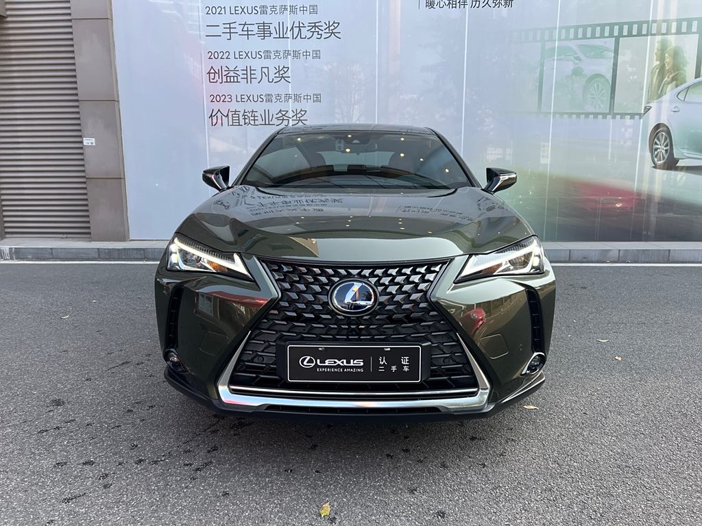 Lexus UX 2020 300e ·