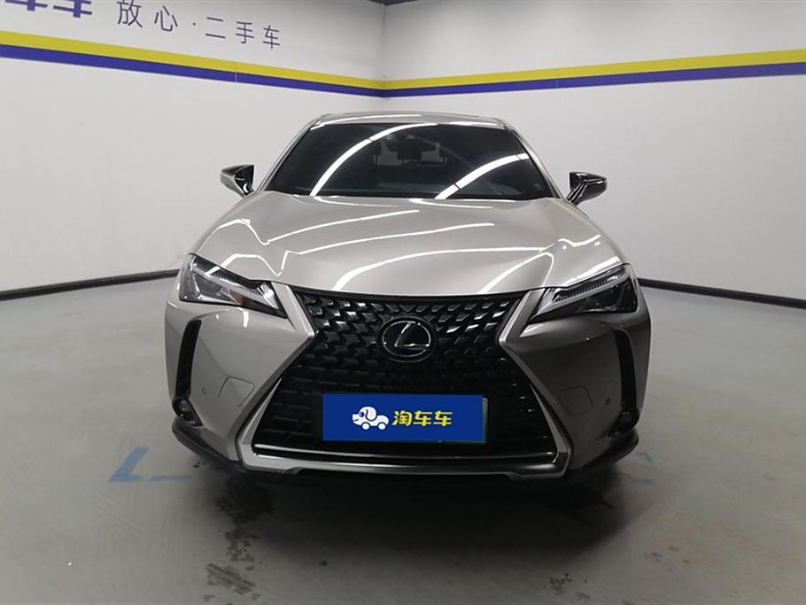 Lexus UX 2020 300e ·