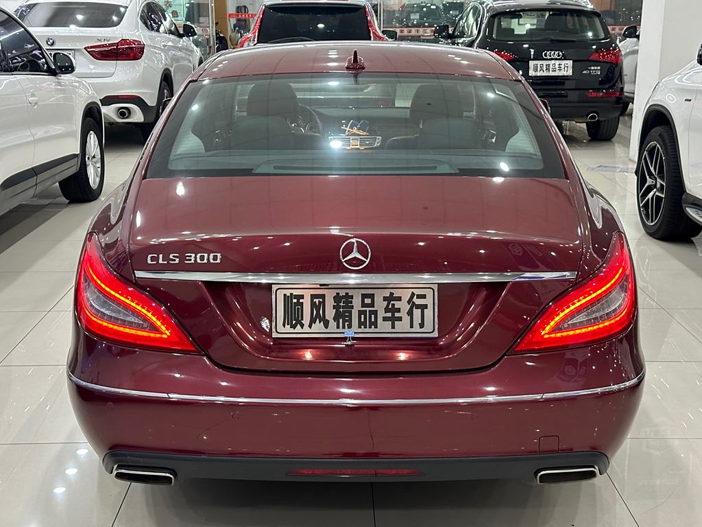 Mercedes-Benz CLS 2012 CLS 300 CGI