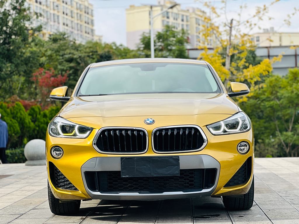 BMW X2 2019 sDrive20i M  Euro VI