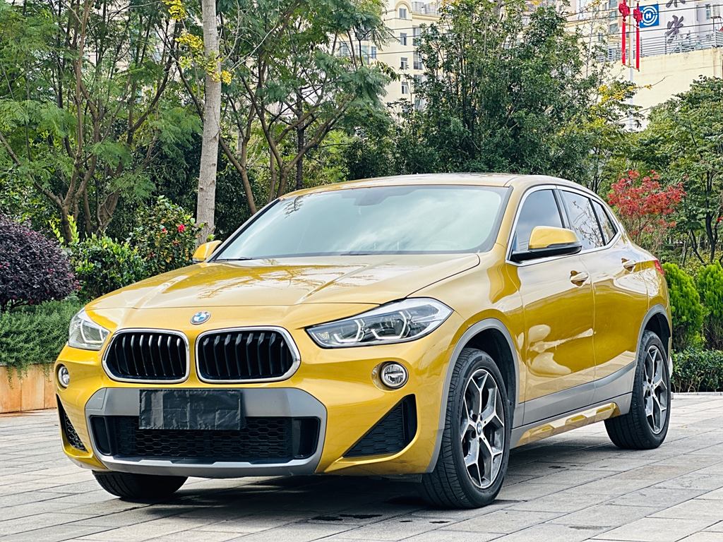 BMW X2 2019 sDrive20i M  Euro VI