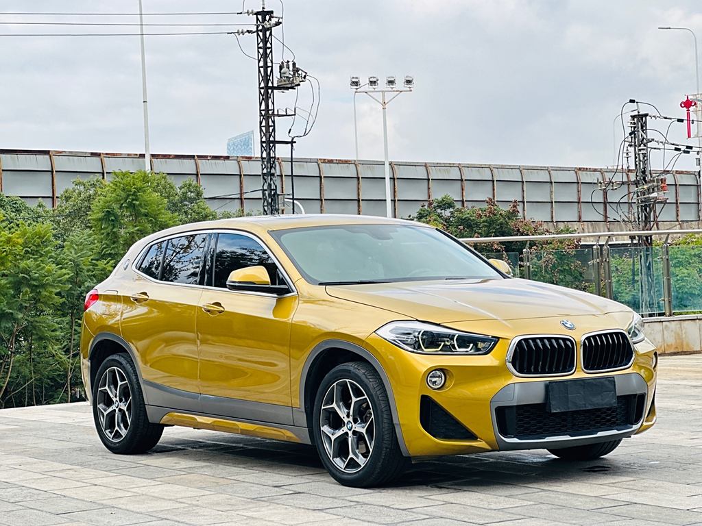 BMW X2 2019 sDrive20i M  Euro VI