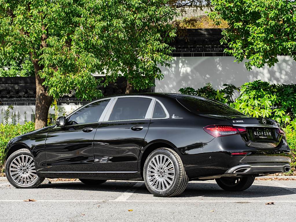 Mercedes-Benz E-Class 2023  E 300 L