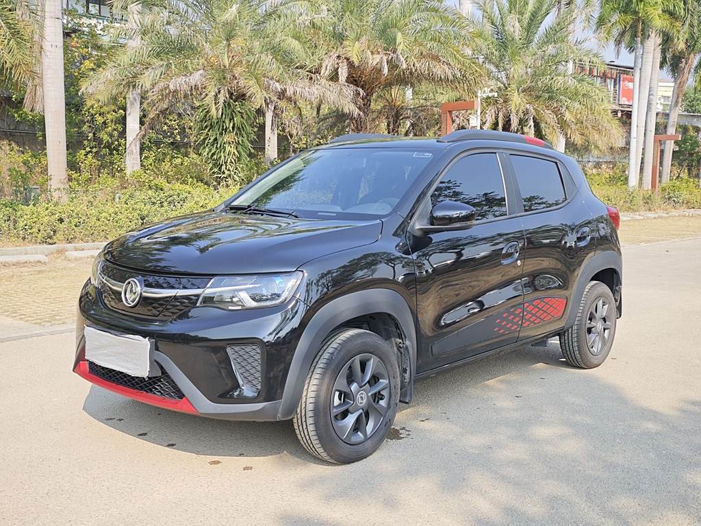 Dongfeng Nano EX1 2022 PRO