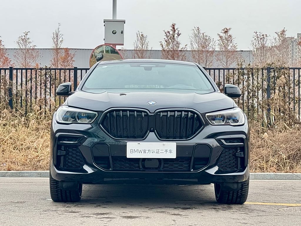 BMW X6 2022 xDrive40i M Sport Package