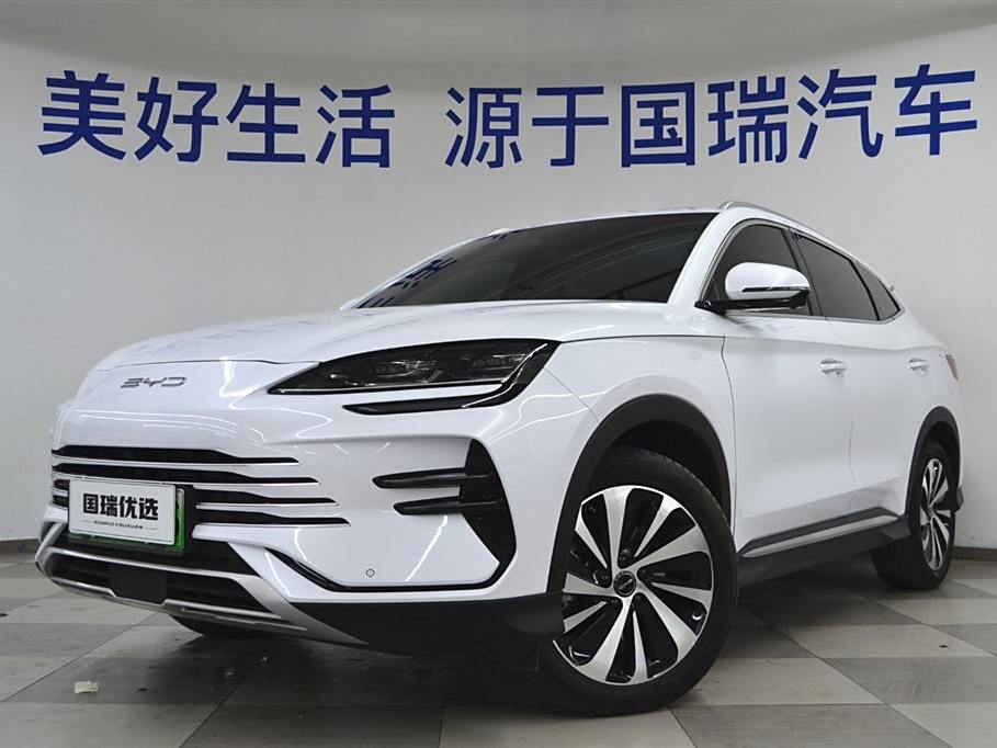 BYD Song PLUS New Energy 2024 DM-i 110km