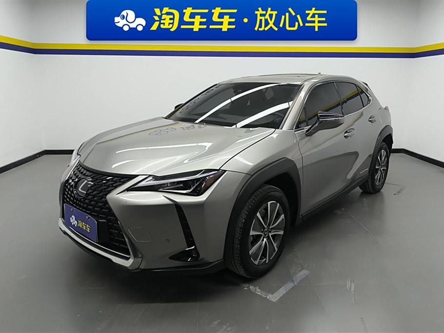 Lexus UX 2020 300e ·