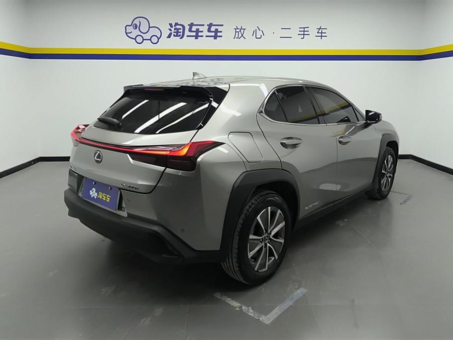 Lexus UX 2020 300e ·