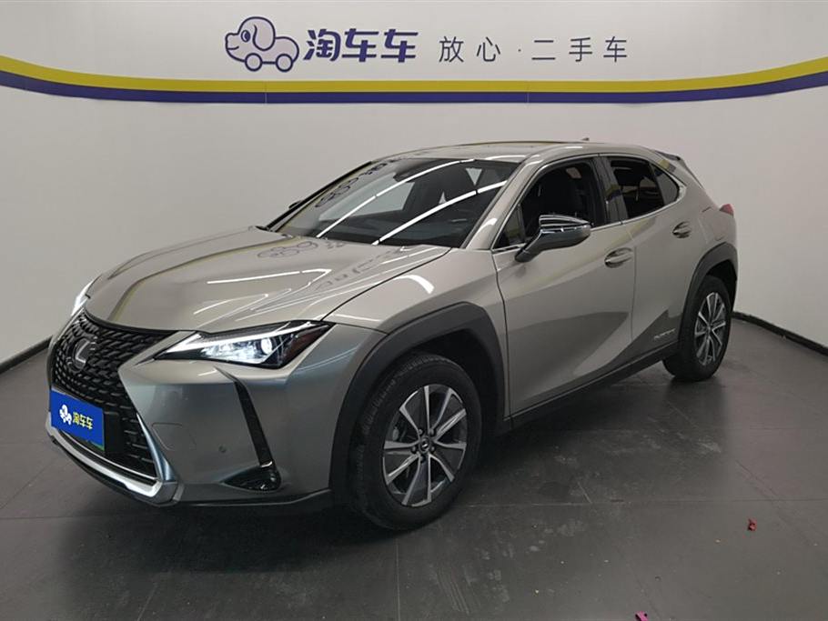 Lexus UX 2020 300e ·