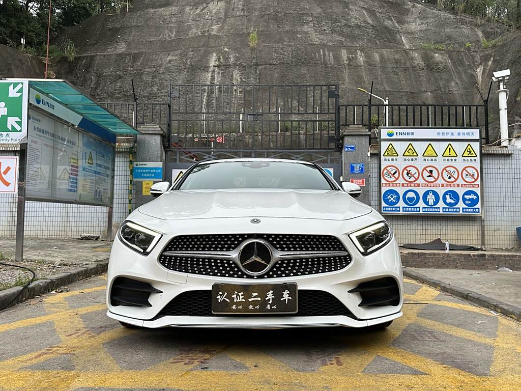 Mercedes-Benz CLS 2020 CLS 350 4MATIC