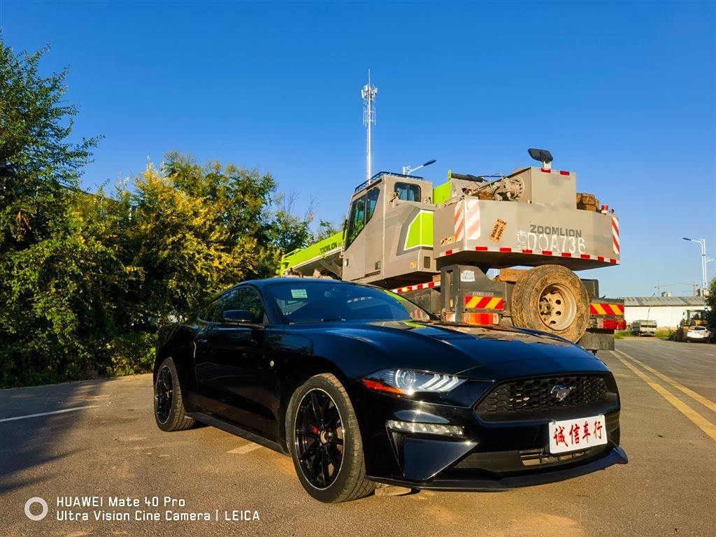 Mustang 2019 2.3L EcoBoost